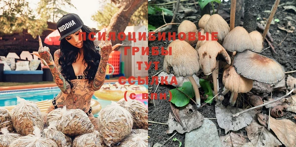 mdpv Осинники