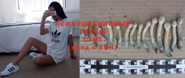 mdpv Осинники